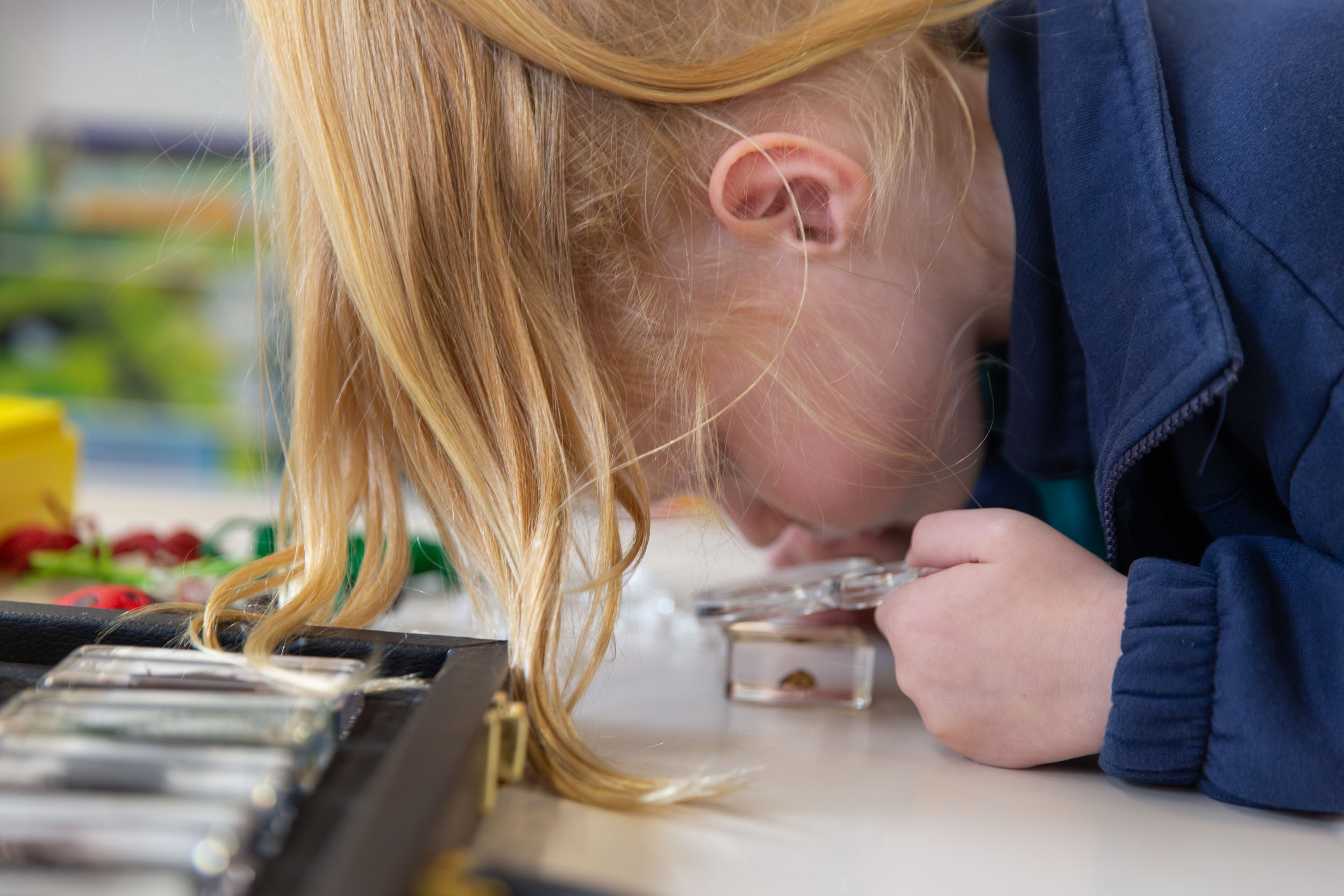 FLDC Bull Creek Beeliar web res-119